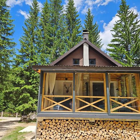 Black Lake Chalet Žabljak エクステリア 写真