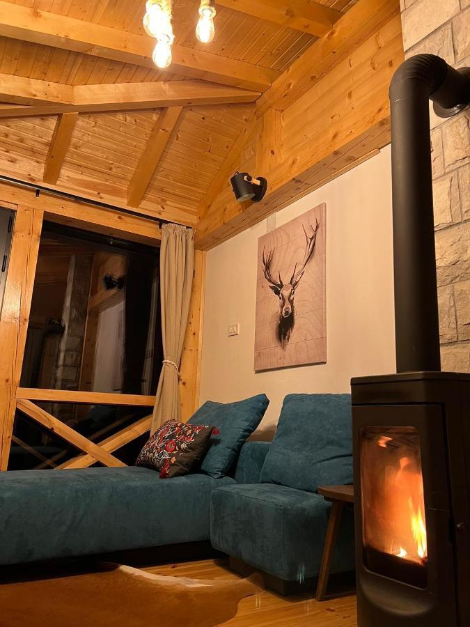 Black Lake Chalet Žabljak エクステリア 写真